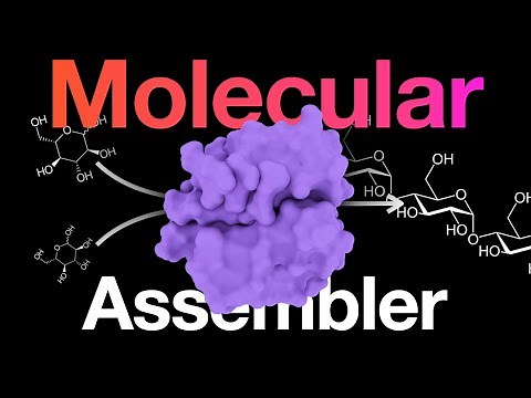 How these molecular machines make life as we know it possible