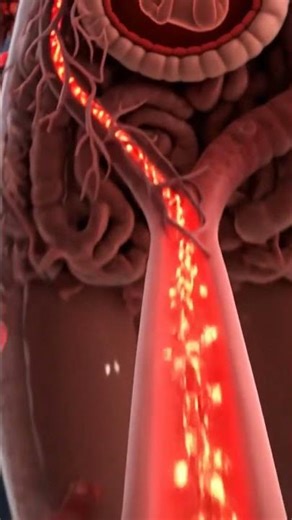 📌 Eating healthy during pregnancy #animation #Help #HealthTips #Doctor #shorts #pregnant #anatomy