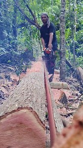 19K views · 477 reactions | definition of Spatial ability | Papz Lumber | Facebook