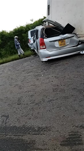 Toyota Minivan Road Accident: Damage and Onlookers