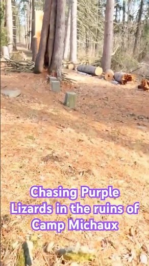 Purple Lizard Maps Delivered the Strangest Find #purplelizardmaps #adventure
