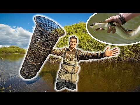 Pêcher l'Anguille avec une Nasse Géante (Pêcher/Cuisiner/Manger)