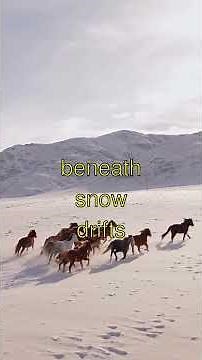 TRUE HORROR: Real-life cannibalism cases throughout history