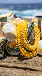 ALOHA Collection x @alohademele GIVEAWAY 💛 We’re celebrating this special collaboration by giving away a collection bundle, artwork by @alohademele, and a $100 @asatofamily Gift Card! Here’s how to enter: 1. Follow @alohacollection @alohademele @asatofamily 2. Like this post Tag a few friends in the comments below (each tag is a new entry!) 3. Share this post on your stories Terms: Open to US, Hawaii and Alaska residents only. Must be 18 to enter. Giveaway ends September 21st at 11:59pm PST. Wi