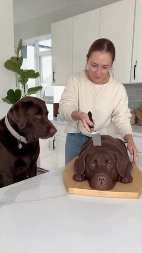 32K views · 152 reactions | She cut a dog cake and the real fat dog freaks out !!#dog #funnyreels #cutedogs #justcakes #reactstocake #dogs #doglover #prank | The Josyy | Facebook