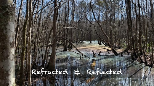 We know y'all love the rainbow swamp out the Caw Caw Interpretive Center! Morgan is back with another "Nature in Your Neighborhood" to teach you more about this phenomenon and the conditions needed for a rainbow to appear on the water! | Charleston County Parks