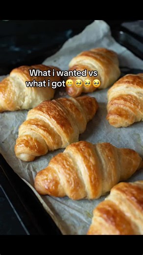 Expectations vs. Reality: A Humorous Take