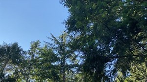 Moana sing along anyone? | Maggie Doyne