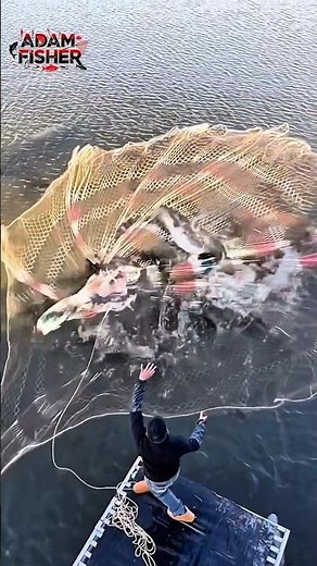 Just 5 Seconds! Net Opens Wide Instantly! #shorts #fish #fishing #trending #amazing #viralvideo