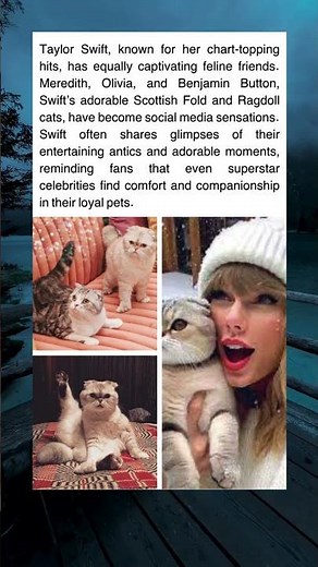 Taylor Swift’s Famous Cats: Meet Meredith, Olivia & Benjamin 🐱✨
