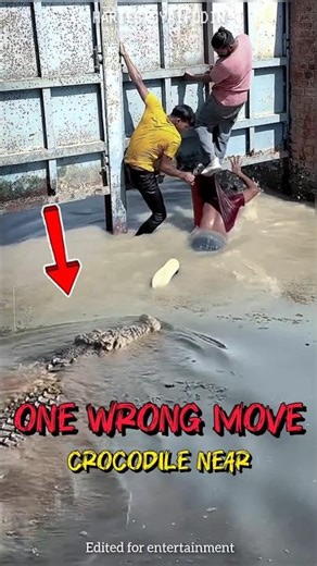 ONE WRONG MOVE‼️ CROCODILE NEAR 🐊 #crocodile #amazing