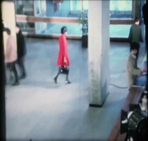 Edinburgh University Library an introduction