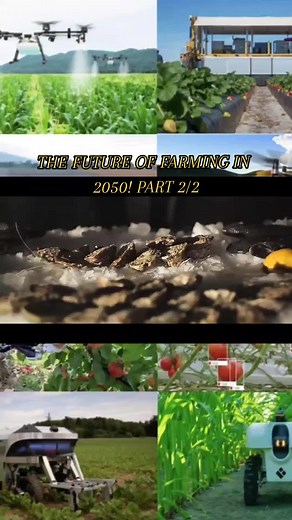 THE FUTURE OF FARMING IN 2050! PART 2/2 #the #future #of #farming #in #2050