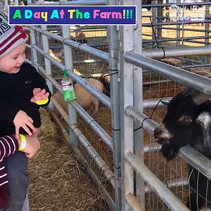 E-I-E-I-Oh baby! 🤣 | All The Babies