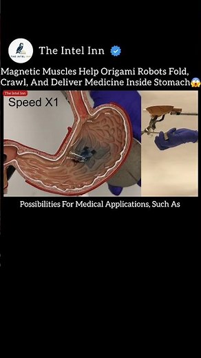 Magnetic Muscles Help Origami Robots Fold, Crawl, And Deliver Medicine Inside Stomach ! 🤖😱 #Robotics