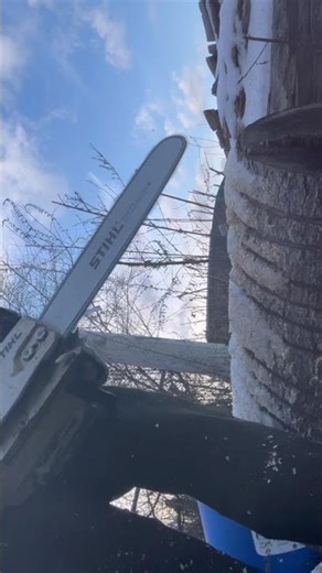 Nothing Beats a Stihl | MS-361 #stihl #chainsaw #stihlchainsaw #shorts