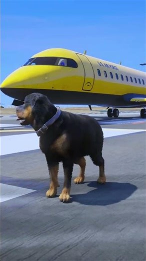 GTA 5 : Dogs teach us love in its purest form Part - 12 😘😘 || #shorts #shortvideo #gta5 ||