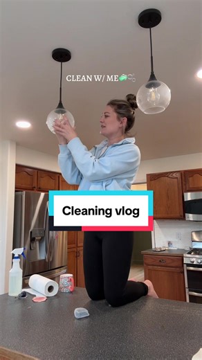 Effective Deep Cleaning and Gnat Control Tips