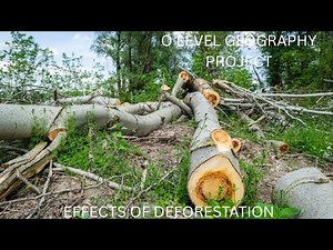 O Level Geography Project #zimsec #olevel #geography