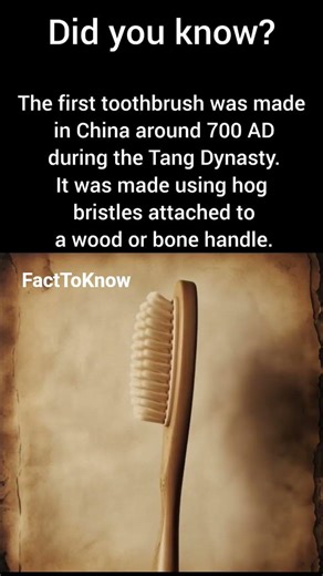 1st Toothbrush in world 🌍. #FactToKnow #DidYouKnow #AmazingFacts #UnknownFacts #MindBlowing #Shorts