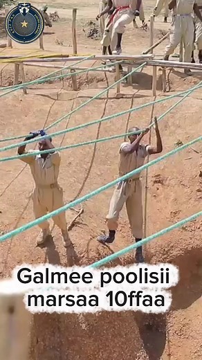 Harari Police Updates and Community Insights