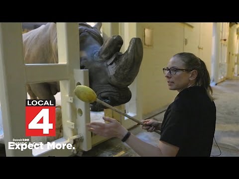 Detroit Zoo: Inside & Out -- Animals big and small
