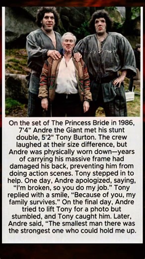 Big body and not physical strength/Strength doesn't just mean physical strength..! #history #english
