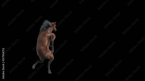 Horse Dancing, 3d rendering, Animation Loop, cartoon, included in the end of the clip with Alpha matte.