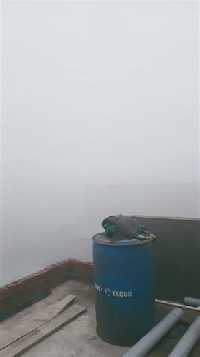 #youtubeshorts seet lever song #viralvideo #song