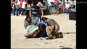 The Most Dangerous Animal Attacks - COMPILATION