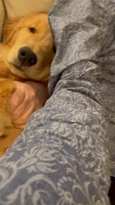 An important update while snuggling on the couch. We love you! Love always, Meadow and MM3, We love you for infinity! | Mayor Max