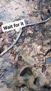 It was just laying there on the creek bank. #artifact #fyp #arrowhead #viralreels #rockhound #history #discovery #treasure #outdoors | Zach Byrd Adventure Hour