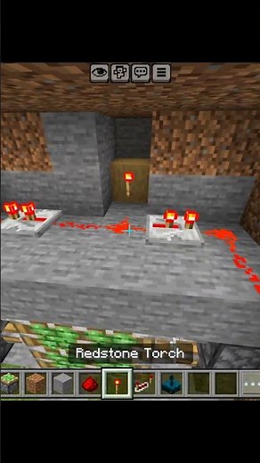 Minecraft SECRET Door🚪