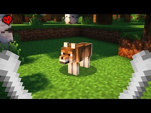Taming Minecraft's NEW DOGS!