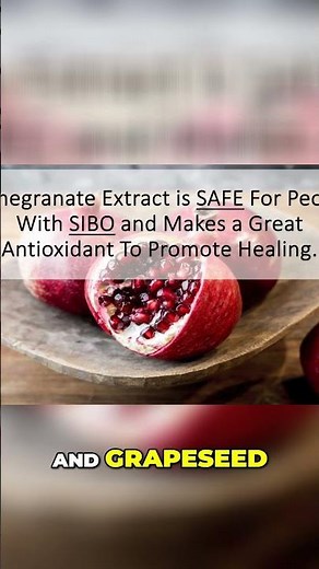 Polyphenols: Gut Health Hack for SIBO & Inflammation #shorts