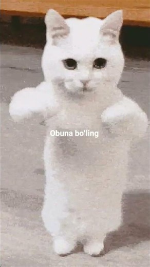 8-iyun, 2026