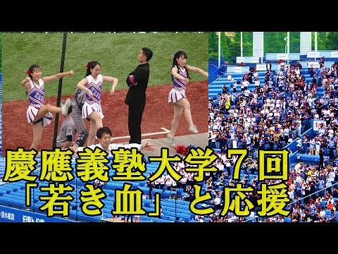 【①慶應義塾大学応援団チアリーダー】７回「若き血」と応援/東京六大学野球春季リーグ対明大２回戦2024.5.19（日）神宮球場