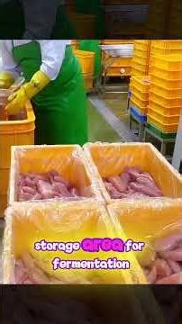 Would You Still Eat Fish Eggs After Seeing How They’re Made? 😳🐟