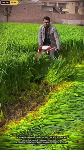 Efficient Walk-Behind Crop Cutter for Grass Harvesting and Field Maintenance in Farming