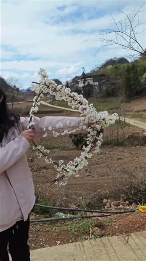 #The original ecology in the mountains#The scenery of my hometown#Spring warms and flowers