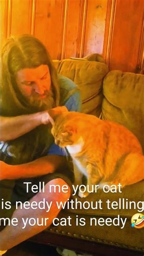 Tell Me Your Cat is Needy… Without Telling Me 😹 | Tigger’s Antics #haveitoldyoulatelythatiloveyou