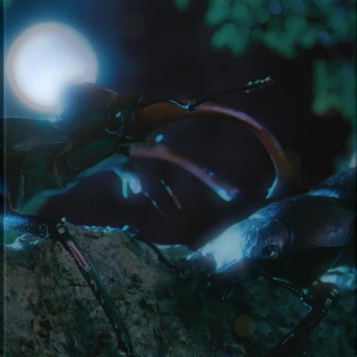 13K views · 117 reactions | Experience heartfelt hits from the world's greatest lovebugs!  Check out their biggest hits in season 2 of #ARealBugsLife, inspired by Pixar's A Bug's Life, now streaming on Disney+! | National Geographic TV | Facebook