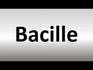How to Pronounce Bacille