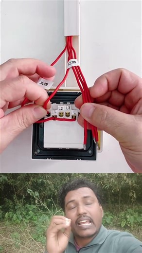 electrical wiring #electrical #comedyg #catfunny #experiment #comedymove #catvideos #tricks