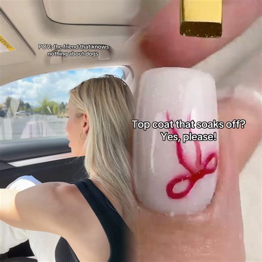 Wish they came with a user manual #dogs #dogtok #dogsoftiktok #dogowners #funnydog