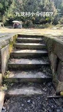 原雨城区和龙乡九龙村小，2015年去的时候，还有一个老师和分属一二三年级的十来个学生，尽管人少，简志全老师还是一丝不苟当起了全科老师，师生之间，其乐融融。2016年，在好奇心的驱使下，再上九龙村...