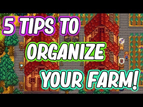 Improve your Farm Organization with These Tips! | Stardew Valley