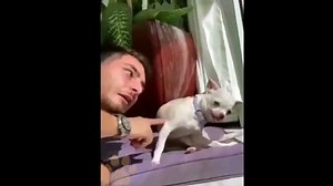 Angry Dogs Compilation Funny Angry Pets Videos of Tiktok 2021 #49