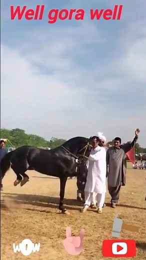 🙀beautiful horse dance check karo //# #horse #viral #song #short #youtube March 14, 2026