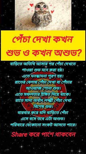 পেঁচা দেখা কখন শুভ ও কখন অশুভ?